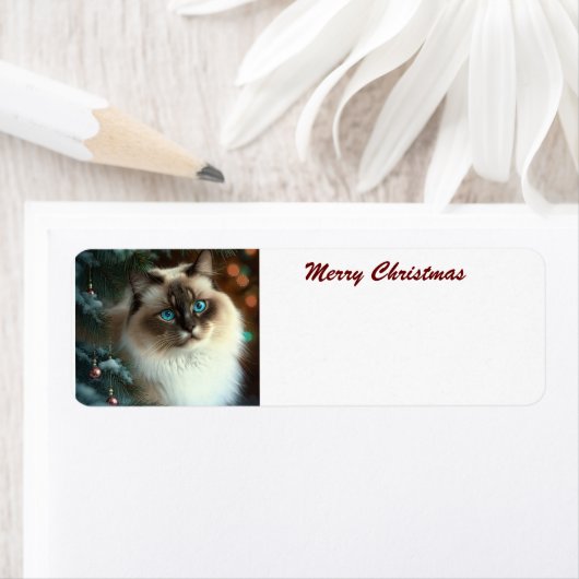 Frohe Weihnachtskat (Insitu)