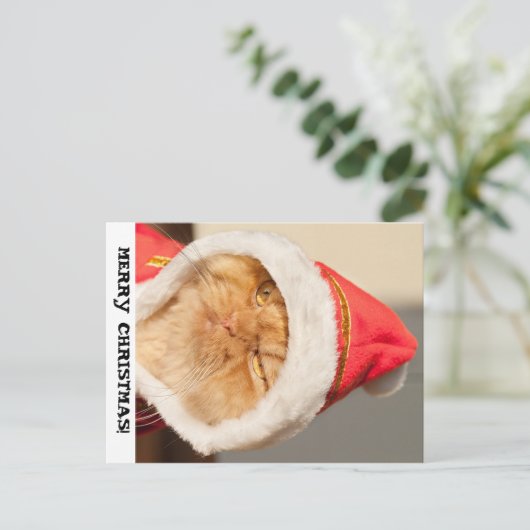 Frohe Weihnachtskat Feiertagspostkarte (Stehend Vorderseite)