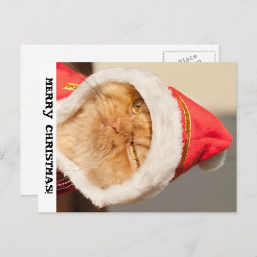 Frohe Weihnachtskat Feiertagspostkarte (Vorne/Hinten)