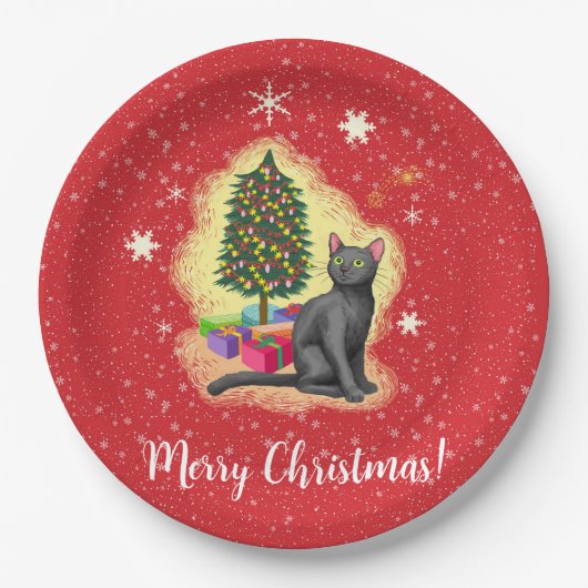 Frohe Weihnachtskat Pappteller (Vorderseite)