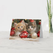 Frohe Weihnachtskätzchen und Ornamente Karte (Vorderseite)