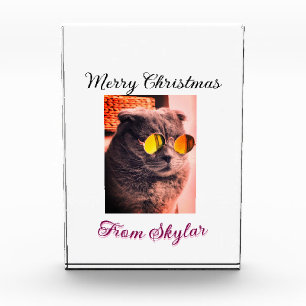 Frohe Weihnachtskatze Haustier Liebe Foto