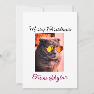 Frohe Weihnachtskatze Haustier Liebe Foto Einladung