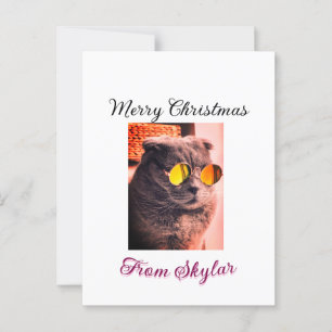 Frohe Weihnachtskatze Haustier Liebe Foto Postkarte