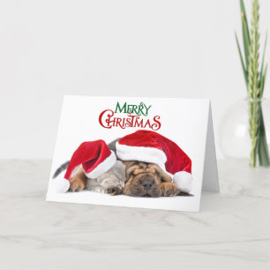 Frohe Weihnachtskatze und Hund Feiertagskarte