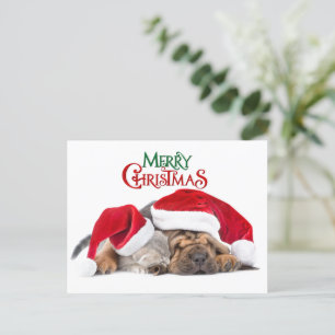Frohe Weihnachtskatze und Hund Feiertagspostkarte