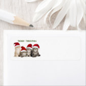 Frohe Weihnachtskatzen (Insitu)