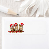 Frohe Weihnachtskatzen (Insitu)