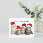 Frohe Weihnachtskatzen Feiertagspostkarte (Stehend Vorderseite)