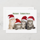Frohe Weihnachtskatzen Feiertagspostkarte (Vorne/Hinten)