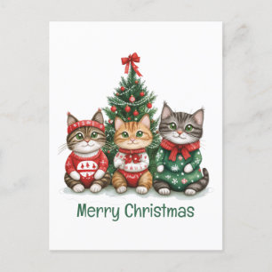 Frohe Weihnachtskatzen Postkarte