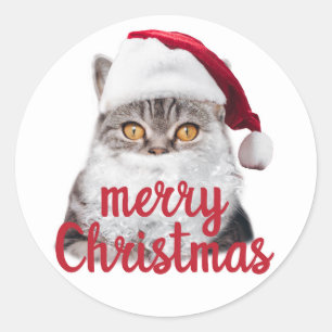 Frohe Weihnachtskatzenaufkleber Runder Aufkleber