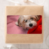 Frohe Weihnachtsmarken (Insitu)