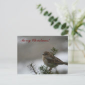 Frohe Weihnachtsparrow! Feiertagspostkarte (Stehend Vorderseite)