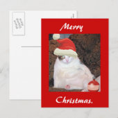 Frohe Weihnachtspostkarte Feiertagspostkarte (Vorne/Hinten)