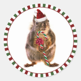 Frohe Weihnachtsquirrel Stickers