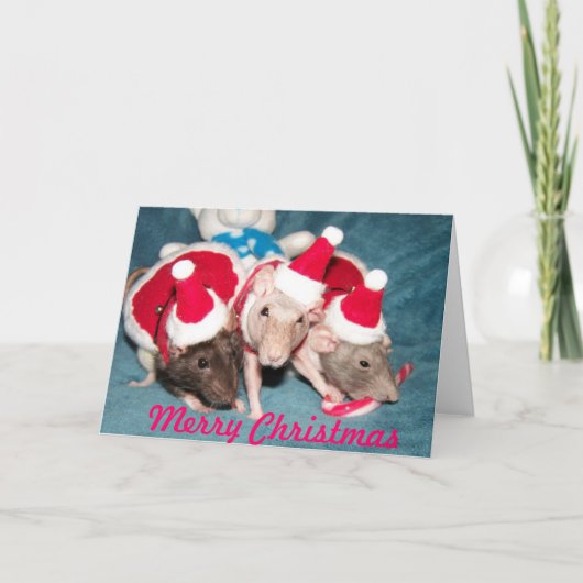 Frohe Weihnachtsrat Feiertagskarte (Vorderseite)