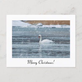 Frohe Weihnachtsschnee schwan Postkarte