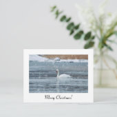 Frohe Weihnachtsschnee schwan Postkarte (Stehend Vorderseite)