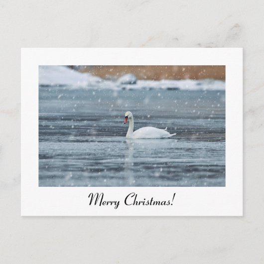 Frohe Weihnachtsschnee schwan Postkarte (Vorderseite)