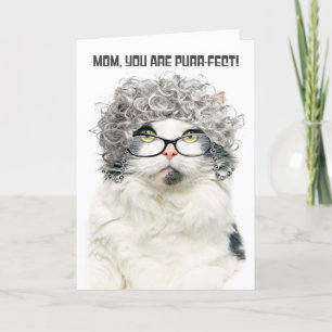 Frohen Muttertag Lustige Alte Katze Mit Grauen Haa Feiertagskarte