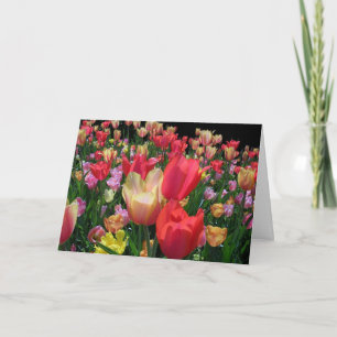 Frohen Muttertag mit Tulpen Karte