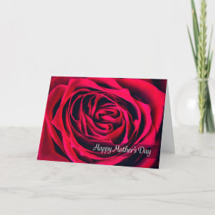 Frohen Muttertag Schöne Rose Nahaufnahme Feiertagskarte