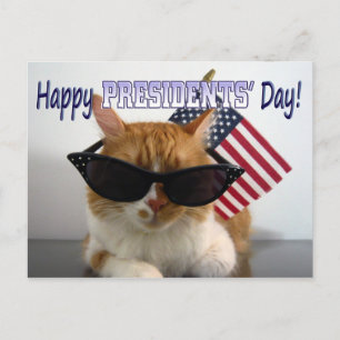 Frohen Presidents' Day Coole Katze mit Flaggen-Pos Postkarte
