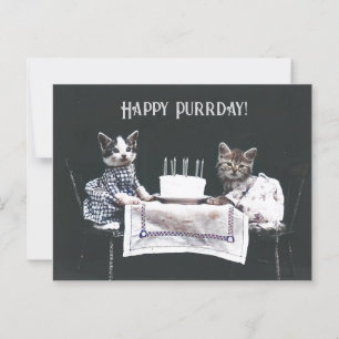 Frohen Purrtag Süße Katzen Vintage Geburtstag Postkarte