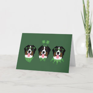 Frohen St. Patrick's Day Berner Sennenhunde Feiertagskarte