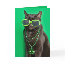 Frohen St. Patrick's Day Katzen in grünem Humor