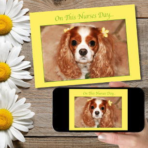 Frohen Tag der Krankenpfleger Cavalier King Charle Karte