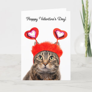 Frohen Valentinstag für jede getigerte Katze  Feiertagskarte