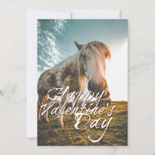 Frohen Valentinstag mit Blick auf das Pferd