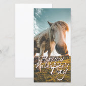 Frohen Valentinstag mit Blick auf das Pferd (Vorne/Hinten)