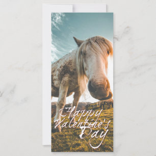 Frohen Valentinstag mit Blick auf das Pferd