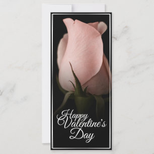 Frohen Valentinstag mit rosa Rose
