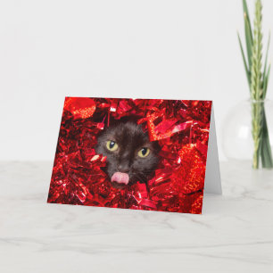 Frohen Valentinstag Süße Katze Mit Herausgestreckt Feiertagskarte