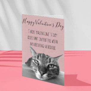 Frohen Valentinstag von der Katze an den Menschen  Karte
