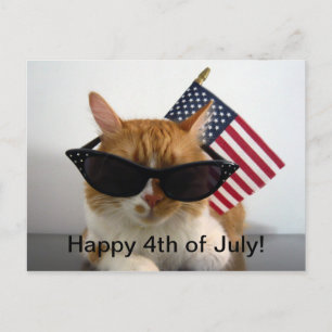 Frohes 4. Juli Cool Cat mit Flagge Postkarte