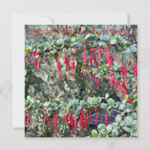 Frohes chinesisches Neujahr! Mitteilungskarte