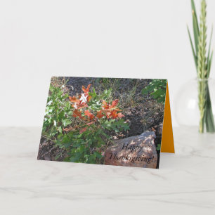 Frohes Erntedankfest! von Janz Feiertagskarte