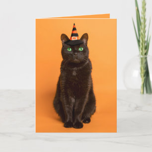 Frohes Halloween für jede schwarze Katze im Hexenh Feiertagskarte
