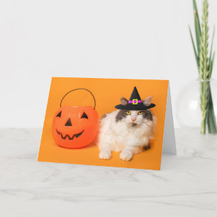 Frohes Halloween für jede süße Katze im Hexenhut  Feiertagskarte