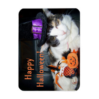 Frohes Halloween Hexenkatze Karte Magnet