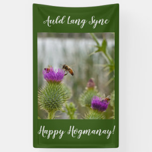 Frohes Hogmanay Auld Lang Syne Distel Banner