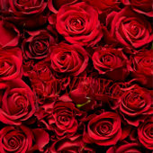 Frohes neues Jahr - Tasse 2025