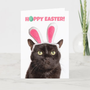 Frohes Osterfest für jeden Funny Cat in den sonnig Feiertagskarte
