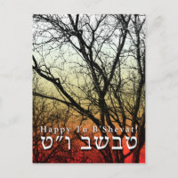 Frohes Tu B’Shevat! : Jüdischer Arbor Day