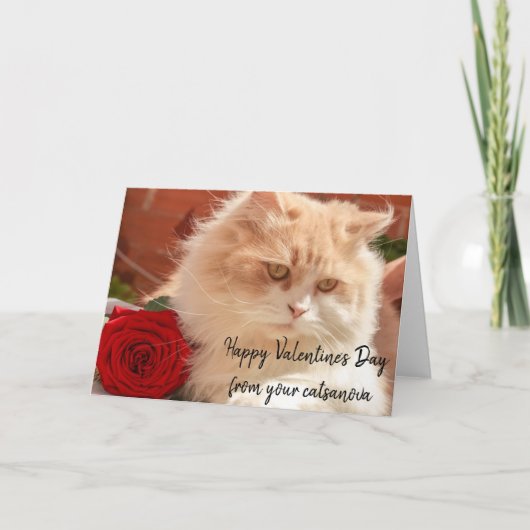 Frohes Valentinstag von Ihrer Katsonova Katze Karte (Vorderseite)